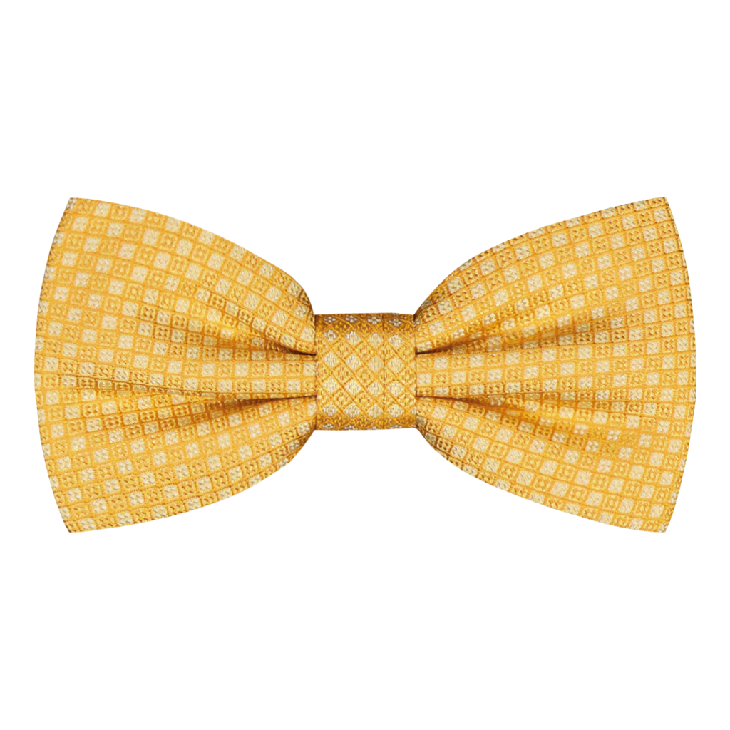 Cesenatico Orange Textured Silk Bowtie