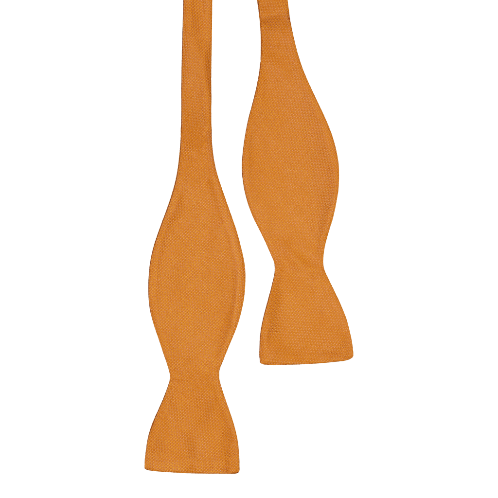 Lamezia Orange Selftie Bowtie