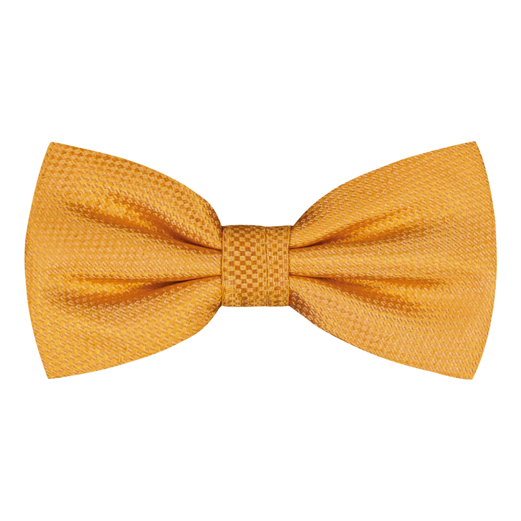 Ruffano Orange Silk Bowtie