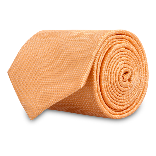 Carbonia Orange Silk Tie