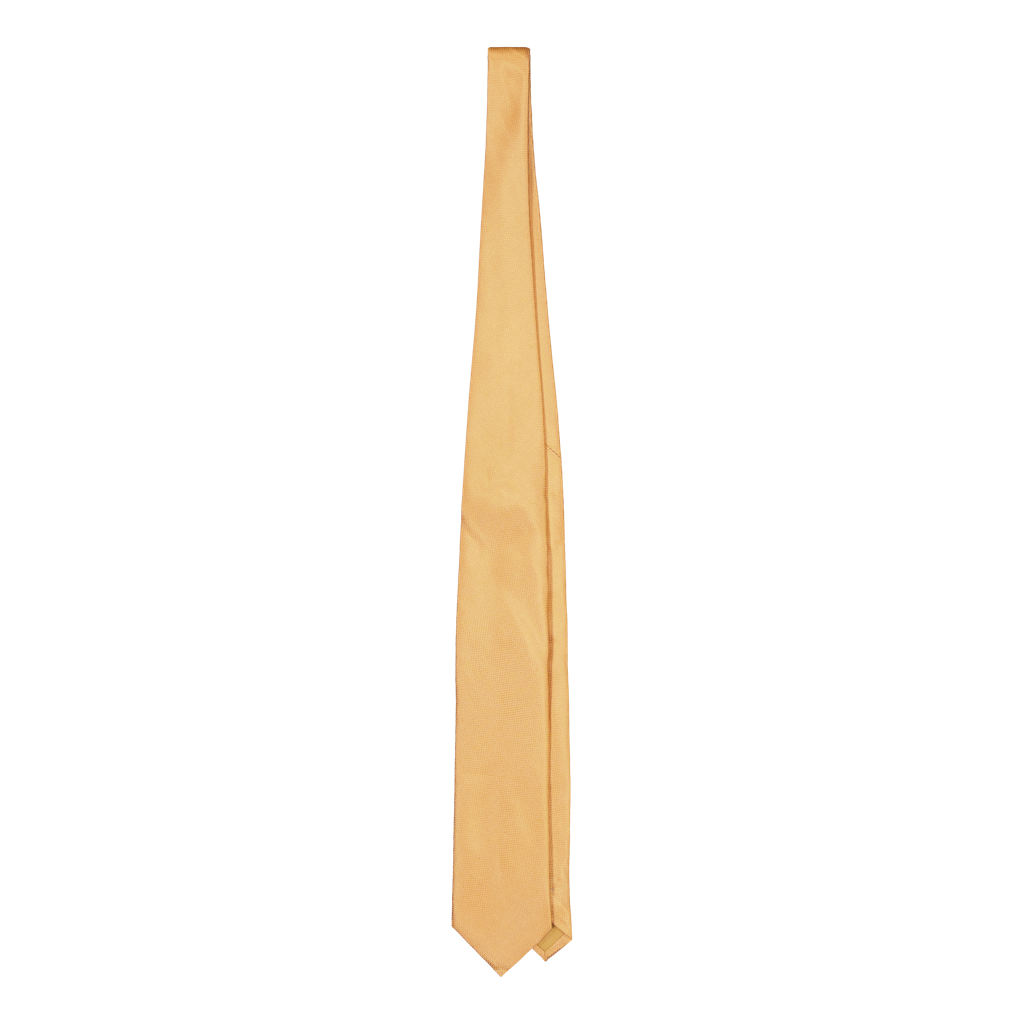Carbonia Orange Silk Tie